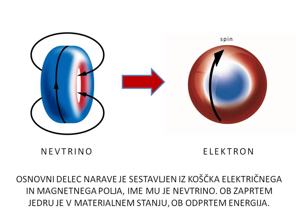 Nevtrino in elektron v elektromagnetnem polju