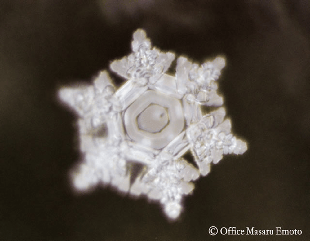 Antarctic ice water crystal showing symmetry and balance