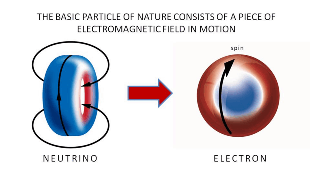 Neutrino and electron as a pair of electromagnetic vortices