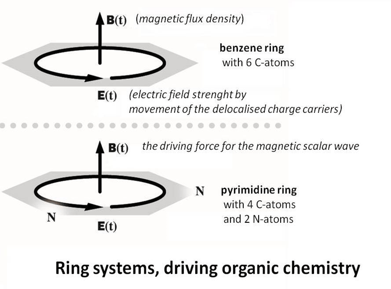 Ring systems driving organic chemistry as magnetic structures